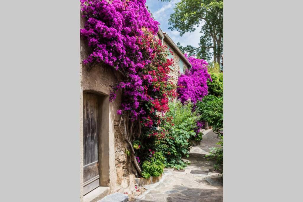 Coquet 2 Pieces Coeur Vieil Antibes Apartment Exterior foto